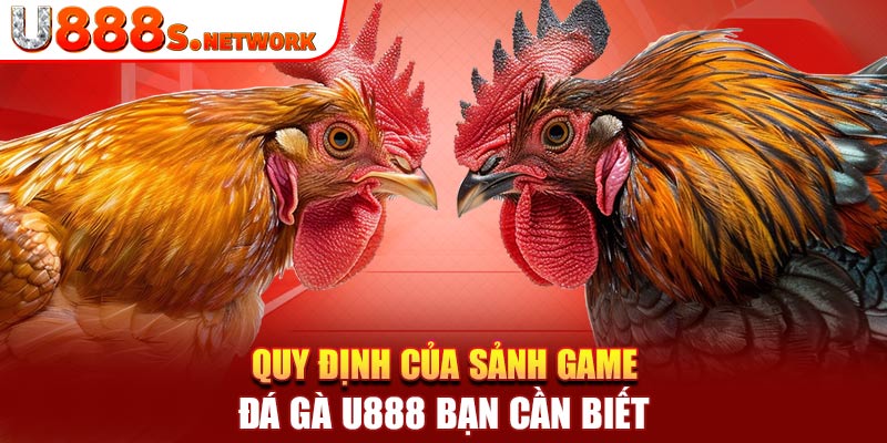 Quy định của sảnh game đá gà U888 bạn cần biết