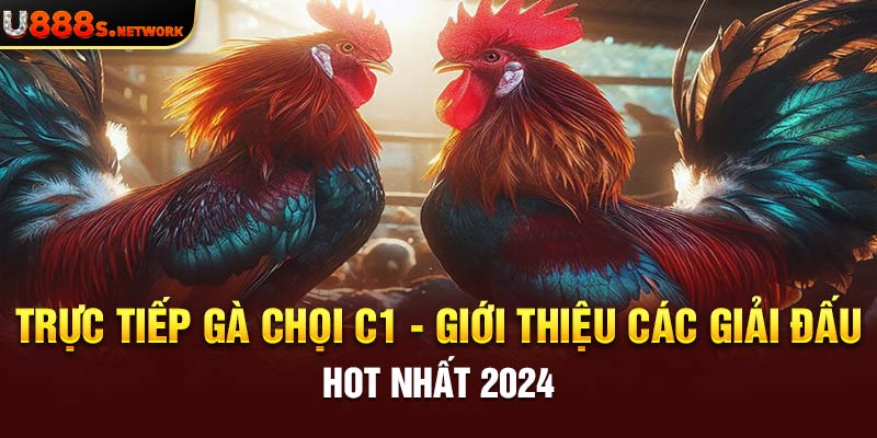 Trực Tiếp Gà Chọi C1 - Giới Thiệu Các Giải Đấu Hot Nhất 2024