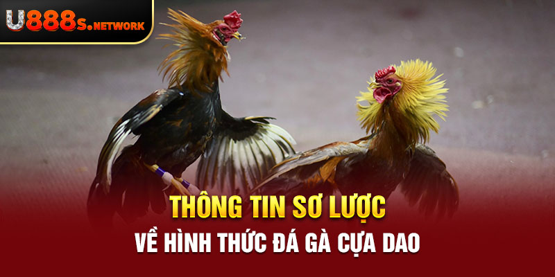 Thông tin sơ lược về hình thức đá gà cựa dao