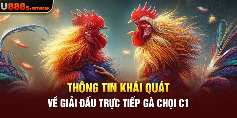 Thông tin khái quát về giải đấu trực tiếp gà chọi C1