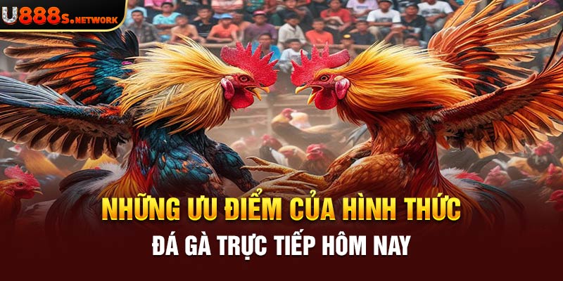 Những ưu điểm của hình thức đá gà trực tiếp hôm nay