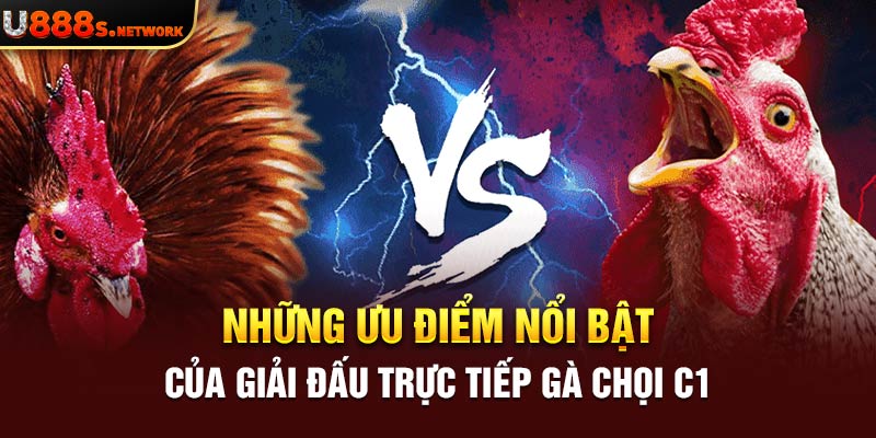 Những ưu điểm nổi bật của giải đấu trực tiếp gà chọi C1