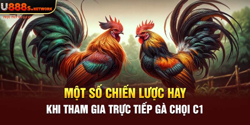 Một số chiến lược hay khi tham gia trực tiếp gà chọi C1